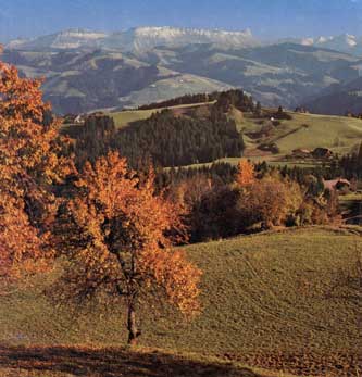 Emmental Farm Scene